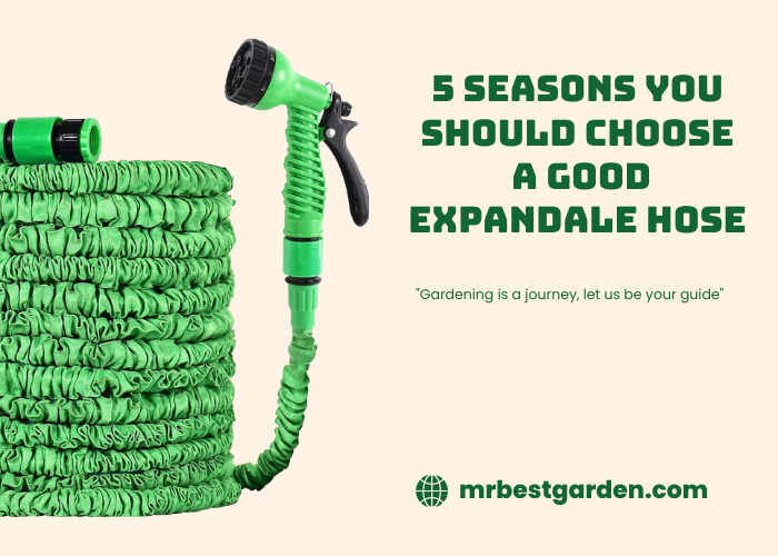 5 Reasons You Should Choose a Good Expandable Hose - What Is The Downside Of Expandable Hoses